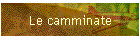 Le camminate