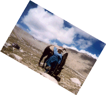 Luisa al passo Wuri la con il suo cavallo Nerino dopo che Ciuffo era fuggito con l'asino Geometra (5300m circa) - Valle di Nubra - Ladakh 1998