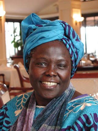 Maathai Wangari