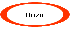 Bozo