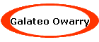 Galateo Owarry