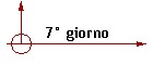 7 giorno