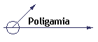 Poligamia