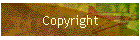 Copyright