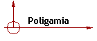 Poligamia