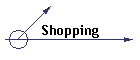 Shopping